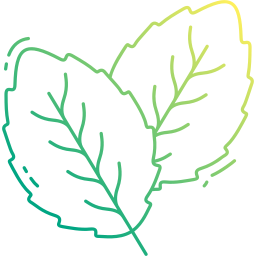 logo_image